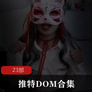 推特DOM合集23部