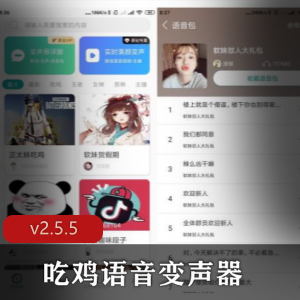 安卓吃鸡语音变声器v2.5.5