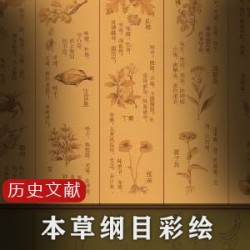 第二次世界大战史图文