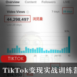 TikTok变现实战训练营