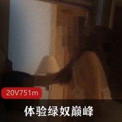 《治愈我的性瘾》欧美SLG沙盒游戏！