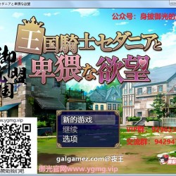 经典的HRPG游戏王國騎士塞達尼婭卑猥的欲望完整汉化版